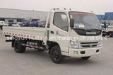 Sinotruk Foton 4X2 Cargo Truck