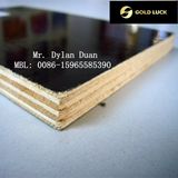 Black/Brown Film Faced Waterproof Plywood---Gold Luck