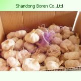 New Crop Chinese Fresh Garlic Dry Garlic