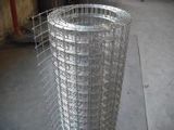 Electro Galvanized Welded Wire Mesh