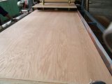 China Poplar Plywood