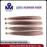 Pre-Bonded Stick Tip Hair Extension, Brazilian Human Hair (DLWEI)