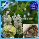 100% Natural Sophora Japonica L. Extract Quercetin