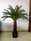 Best Selling Artificial Plants of Big Cycas Jf13010747 H: 160cm