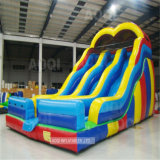 Giant Inflatable Water Slide for Children (AQ09119)