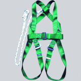 Safety Harness of Webbing