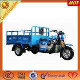 Open Body Flate Plate Type Tricycle for Cargo