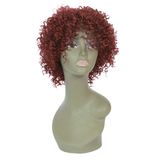 Short Curly Synthetic Hair Wig