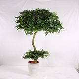 Artificial Ficus Tree with Real Wood Artificial Banyan Bonsai Tree