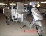 Electric Tricycle (AG-ETP08)