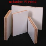 1220*2440* 18mm Film Faced Plywood (BY-58)