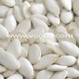 White Pumpkin Seeds (VC-SWPS-011)