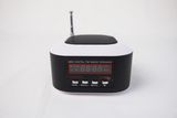 Multi Card Reader Speaker (DS-WS-3188)