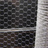 Poultry Netting (DYWM961132)