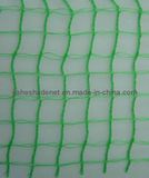 Olive Net