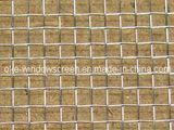 Ss Wire Mesh/ Stainless Steel Wire Mesh