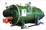 Automatic Fuel Gas Steam Boiler (WNS0.5-Y(Q))