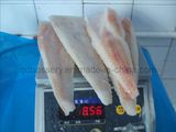 Hake Fillet