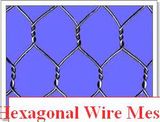 Hexagonal Wire Mesh