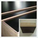 Film Faced Plywood/Constructon Plywood for Construction