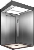 Elevator with Outstangding Quality and Large Loading Capacity