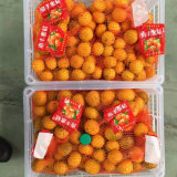 Nanfeng Honey Baby Mandarin