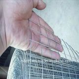 Galvanized Welded Wire Mesh/Annealed Welded Wire Mesh