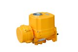 Electric Actuator (BQ)