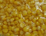 Canned Sweet Corn, Canned Corn Canned Kernel Corn, Canned Food