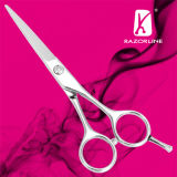 Hair Scissors R8