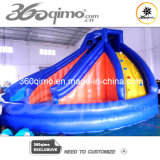 Blue Inflatable Water Slide (BMWL41)