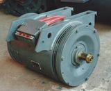 DC Traction Motor (ZDY101)