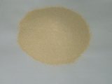 60% Protein Yest Powder for Animal Feed
