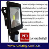 Super Bright LED Motion Sensor Lights with PIR Motion Detect Record (ZR710)