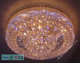LED Crystal Ceiling Lamp/Modern Ceiling Light/LED Ceiling Light (5820-10)