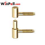 Door Two Bolt Flat Roofed Screw Bolt Hinge (BH-2A1301)