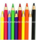 High Quality Color Pencil with Good Wood and Soft Lead