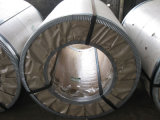 Cold-Rolled SPCC Steel Sheet