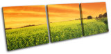 High Quality 3 Pieces Canvas Prints