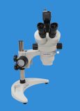 Asm Series Stereo Microscope