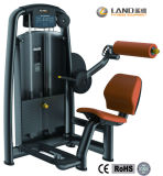 Low Back / Fitness Equipment / Gym Equipment / Bodybuilding Equipment / Exercise Equipment