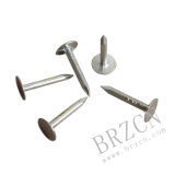 Breeze High Quality Roofing Nail