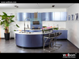 Modern Lacquer Kitchen Cabinet