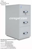 UL 2 Hours Record Protection Cabinet (FRD750-II-3001) , Fire Resistant Filing Cabinet, High Tech Vertical Fireproof File Cabinet, Steel Storage