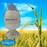 Botanical Pesticide Matrine (98%TC, 0.3%-2% SL) for Pest Control