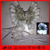 Holiday Decoration LED Christmas String Light