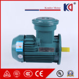 AC Explosion-Proof Electric Three Phase Motor for Winch
