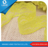 Tricot Lace with Spandex for Dress