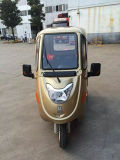 CE New Electric Tricycle for Passenger with Three Wheel