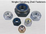 Nylon Lock Nut DIN985 for Industry